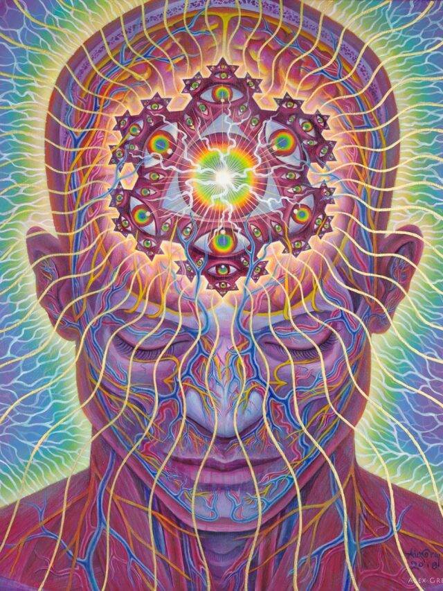 The Sacred Mirrors, The Visionary Art of Alex Grey | Abirpothi