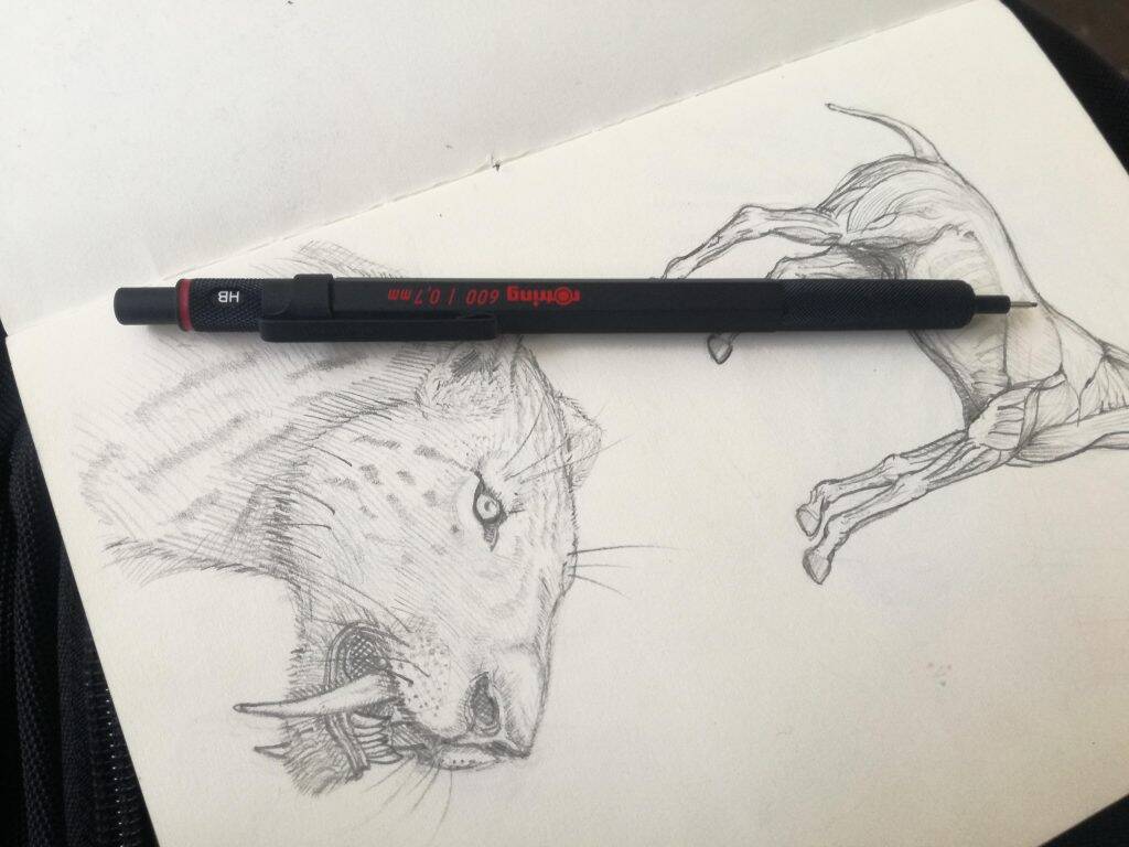 Best Ballpoint Pens | Easy Ballpoint Pen Drawing Ideas - Abirpothi